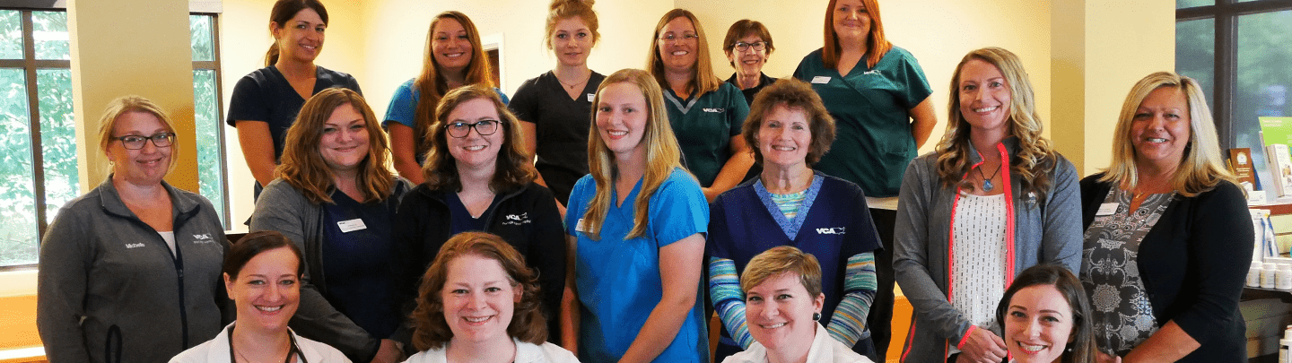 /-/media/2/vca/images/hospitals/united-states/michigan/portage/staff/1440x405_portage_team.png?rev=1769ed897c3846ec8975d5874d6af75e