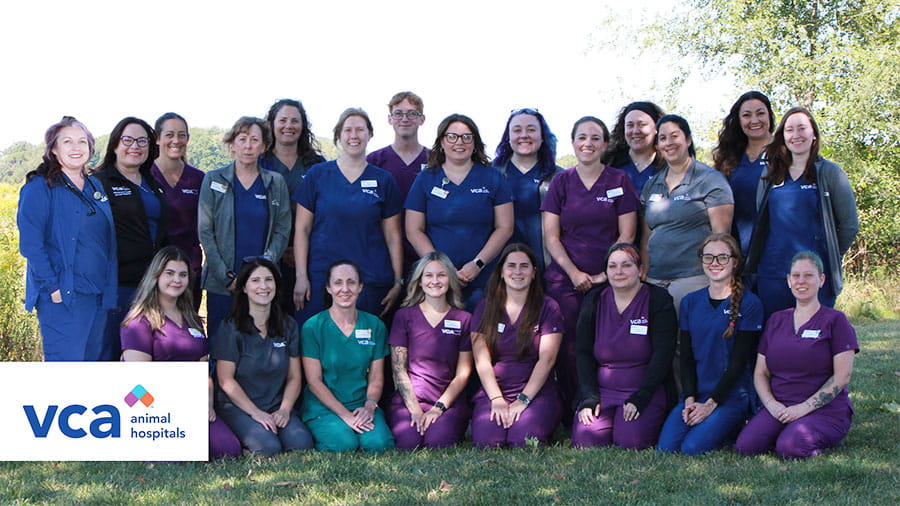 VCA Swartz Creek Animal Hospital Team