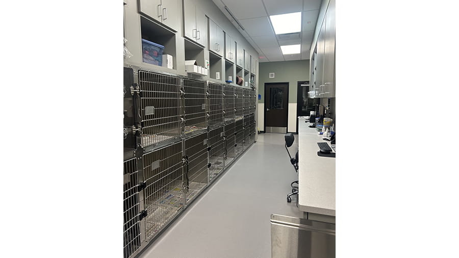 Kennels at VCA White Lake
