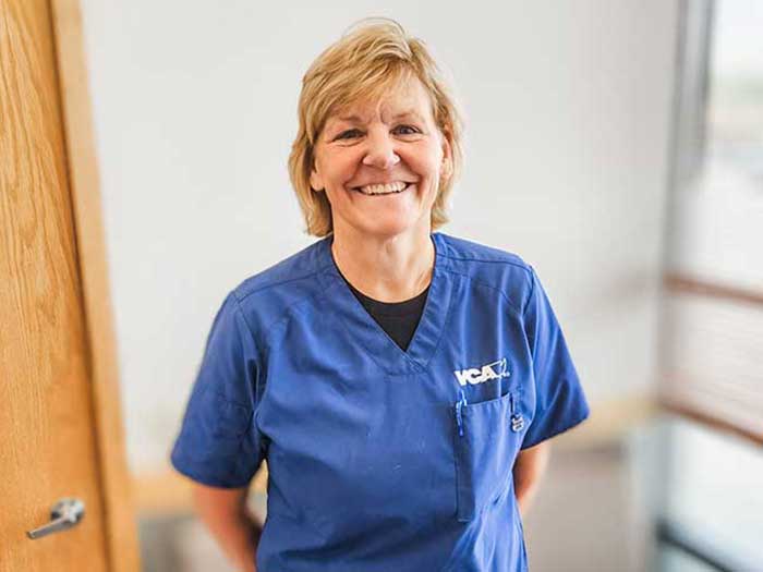 Dr. Jennifer Kokes Staff Photo