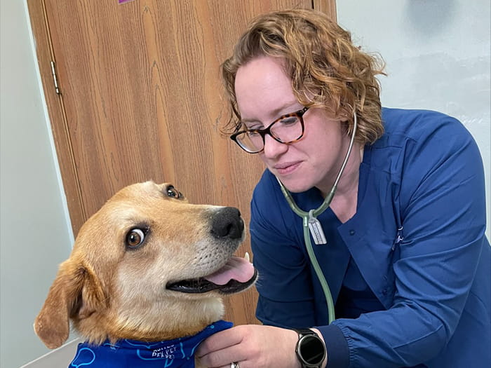 Catherine Webb Staff Photo 2022