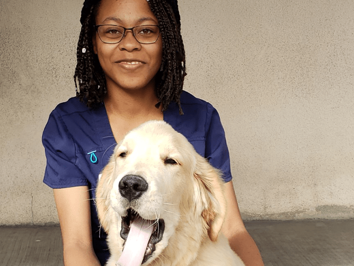 700x525 blue cross las vegas Michelle