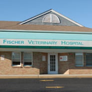 /-/media/2/vca/images/hospitals/united-states/new-jersey/fischer/galleries/185x185_fischer_map_ourhospital.jpg?rev=92e7ce9d46594173adbf05e2c93815a2