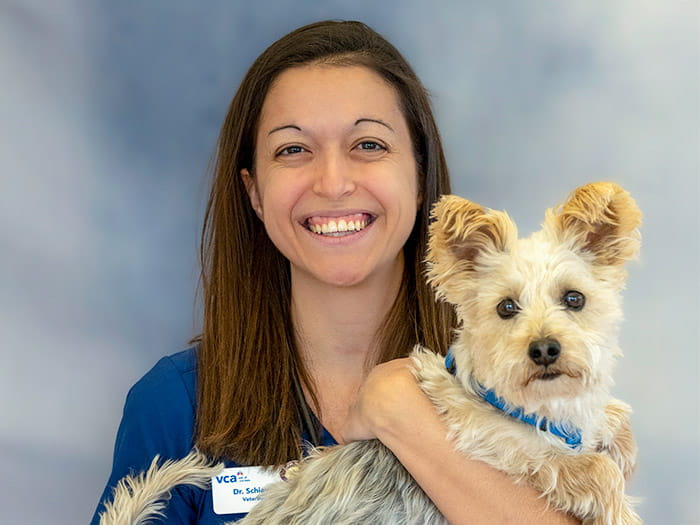 Dr. Annemarie Schiavone Staff Photo