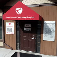 /-/media/2/vca/images/hospitals/united-states/new-jersey/ocean-county/galleries/185x185_ocean-county_map_ourhospital.jpg?rev=29b96d5520354d1a8e74413b199ee39e