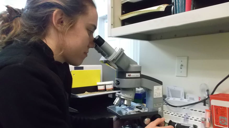 876x493 colonial pharmacy