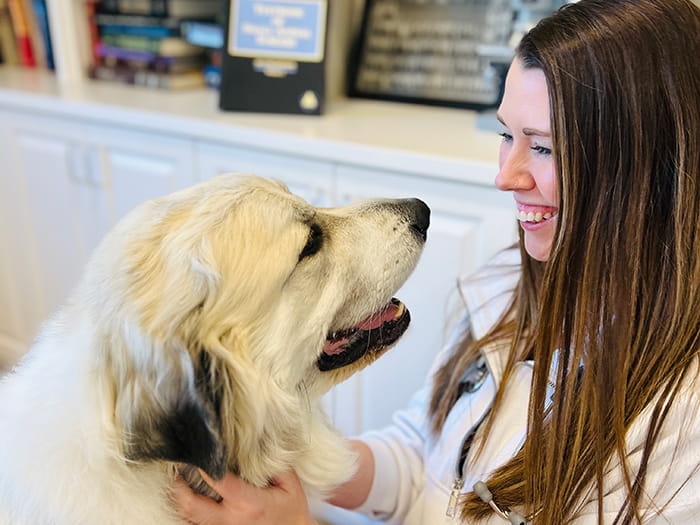 Dr. Meghan Thorne Staff Photo