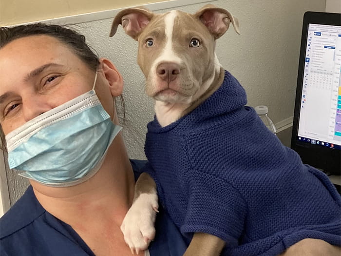 Dara Tambakis Staff Photo