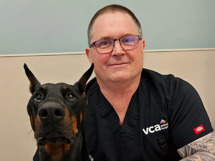 Dr. David Stillman Staff Photo