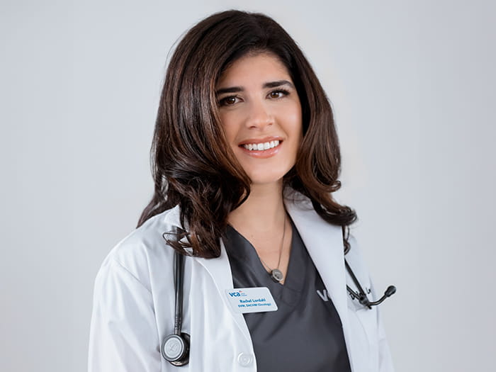 Dr. Rachel Lordahl Staff Photo