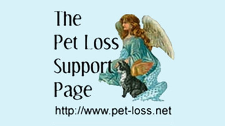 The Pet Loss Support Page