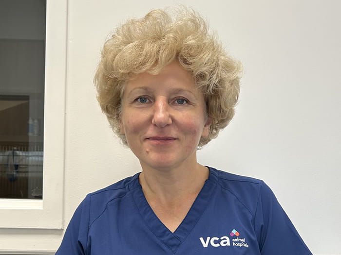 Nataliia Staff Photo