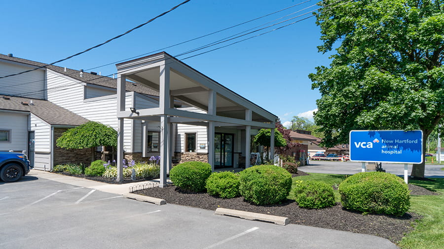 Exterior Photo of VCA New Hartford Animal Hospital
