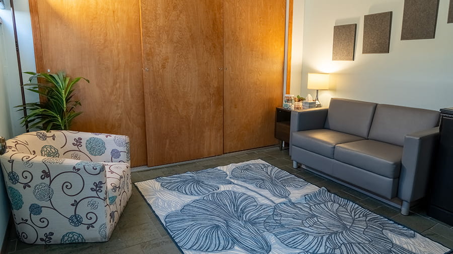 VCA New Hartford Animal Hospital comfort suite