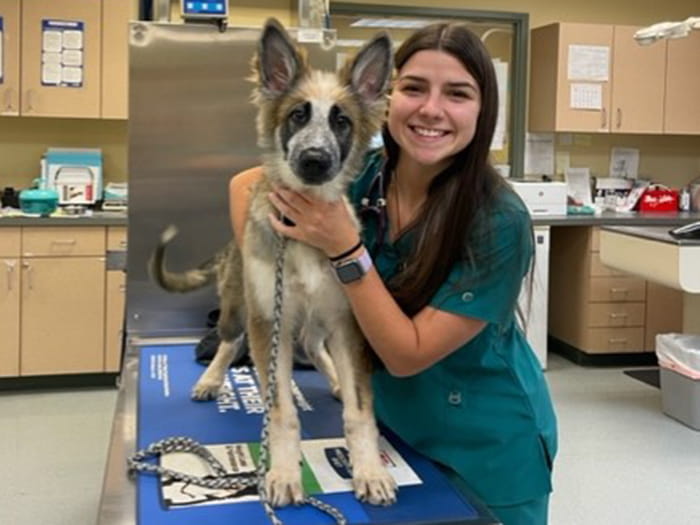 Belle N. Staff Photo