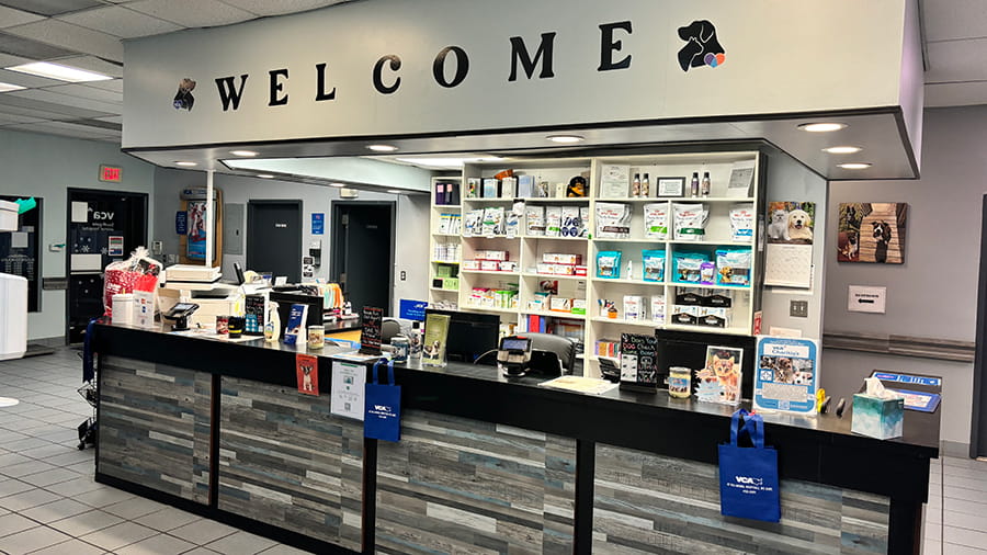 Lobby of VCA Southgate Animal Hospital