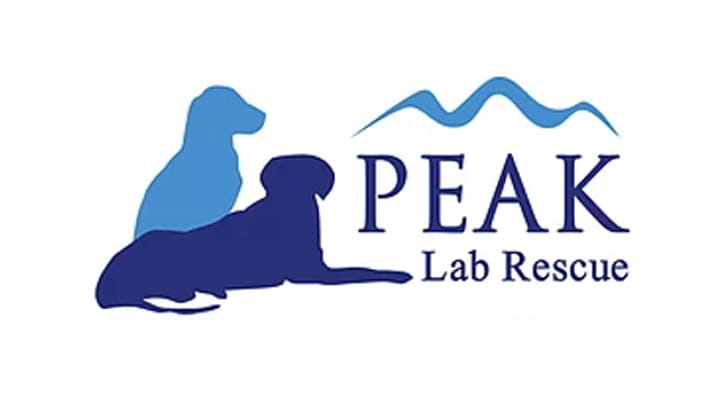 Peak Lab Rescue