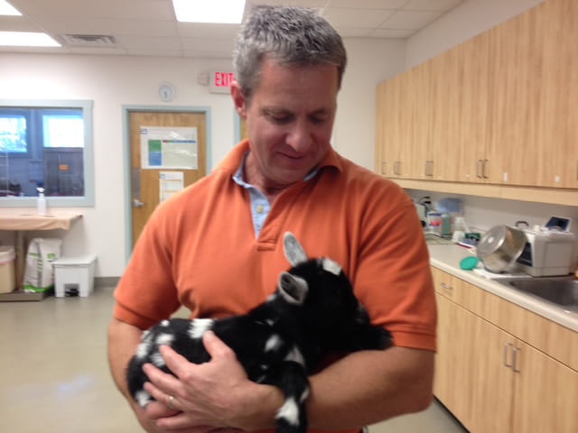 Dr. Donald Kettelkamp Staff Photo