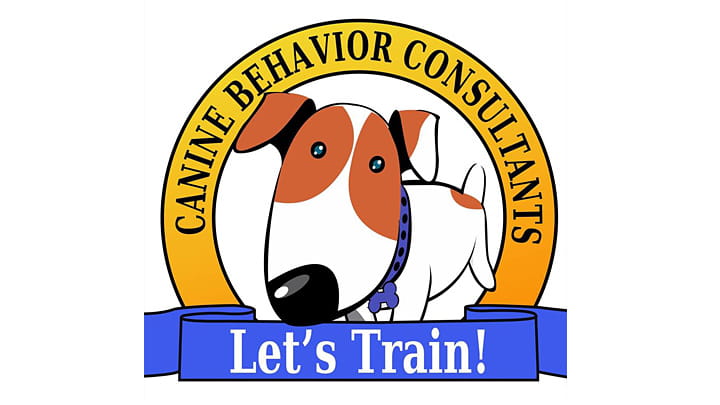 Let's Train logo