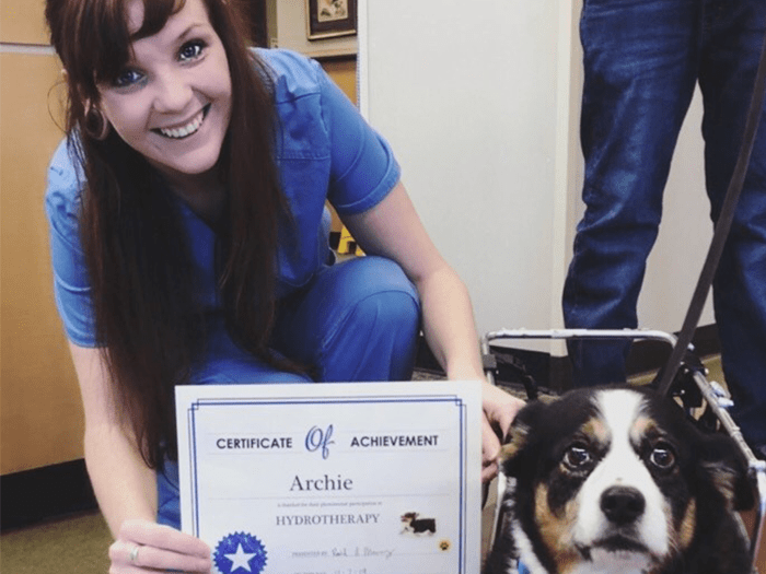 700x525 sylvaniavet Rachel