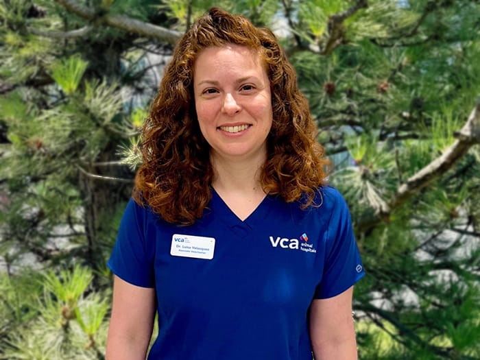 Dr. Luisa Velasquez Staff Photo