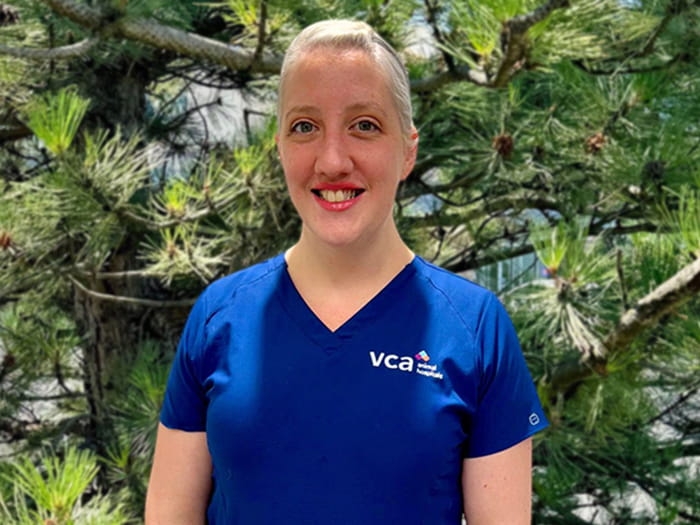 Stephanie Porter Staff Photo