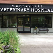 /-/media/2/vca/images/hospitals/united-states/oregon/murrayhill/gallery/185x185_murrayhill_map_ourhospital.jpg?rev=4bf6854f2a3d4a29bb1c2b455cd80814