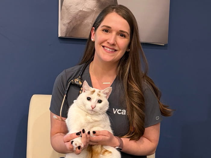 Dr. Kylie Chciuk Staff Photo