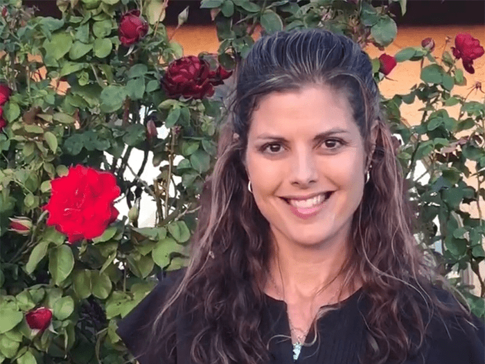 700x525 castle shannon Robin