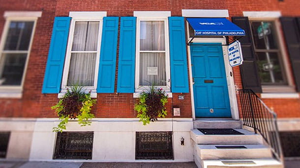 /-/media/2/vca/images/hospitals/united-states/pennsylvania/cat-hospital-of-philadelphia/galleries/610x343_cat-hospital-of-philadelphia_hospital.jpg?rev=aab922808150480a97e4bf319f8ae44f