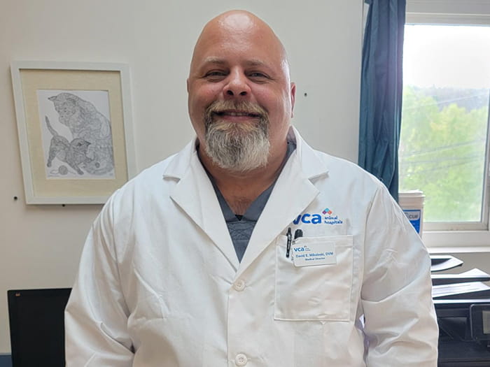 David Mikoloski Staff Photo