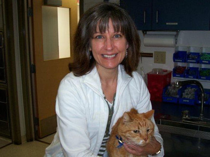 Dr Michelle Schessler