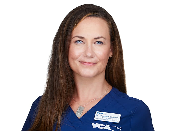 Dr. Elizabeth Goedeke Staff Photo