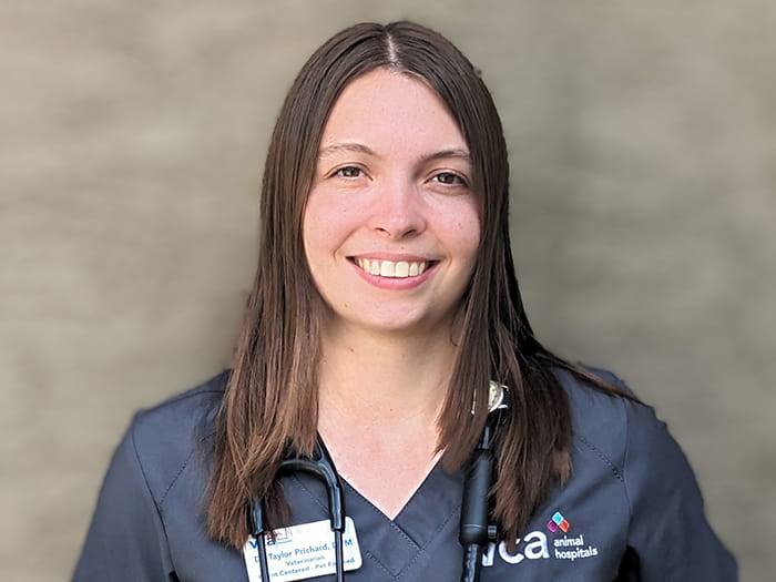 Dr. Taylor Prichard Staff Photo