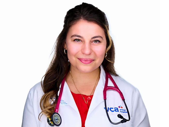 Cassandra Staff Photo