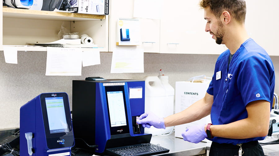 Veterinary staff at VCA Smoketown