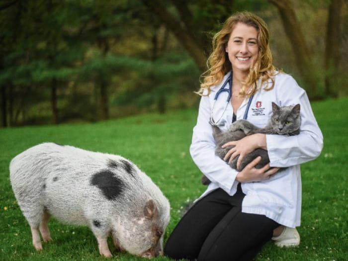 700x525 valley vet EmilyMitchell