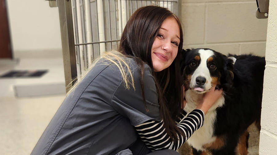 Boarding staff with dog at VCA Wexford Animal Hospital