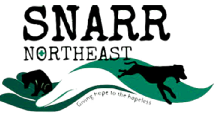 SNARR Northeast