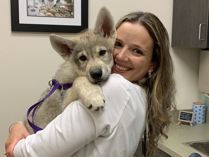 Dr. Vivian Ghiorzi Staff Photo