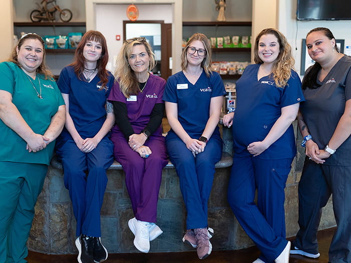 Client Services Team at VCA Angel Animal Hospital
