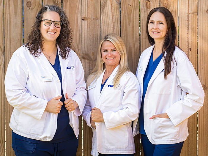 VCA Animal Emergency Hospital Southeast Veterinarians