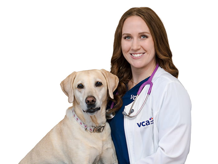 Dr. Tara Fox Staff Photo