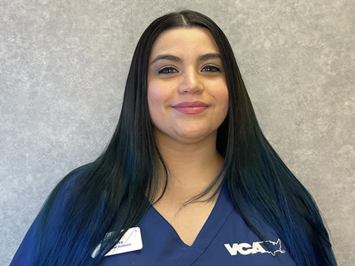 Ashley Parks Staff Photo