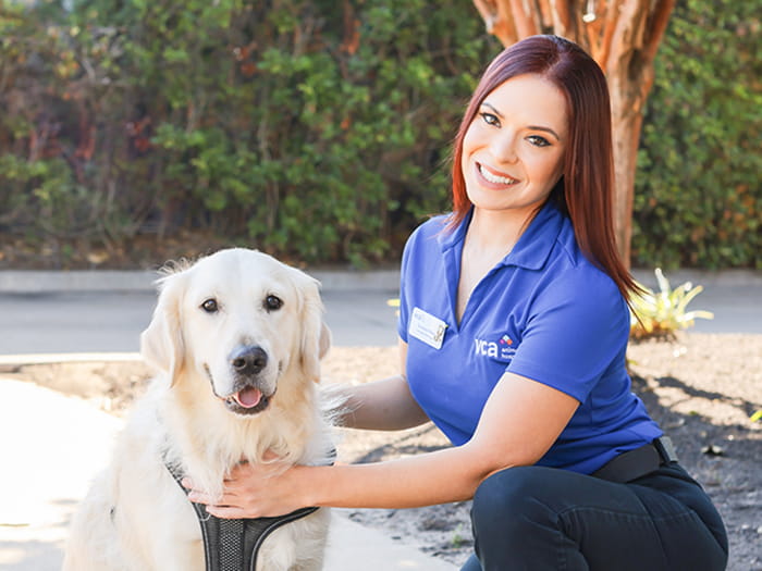 Tera Niles Staff Photo