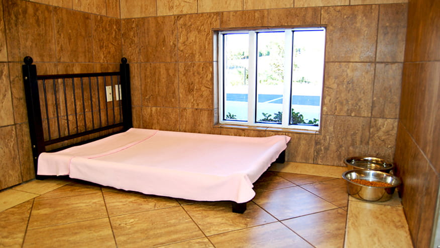 VCA Becker Animal Hospital Dog Boarding