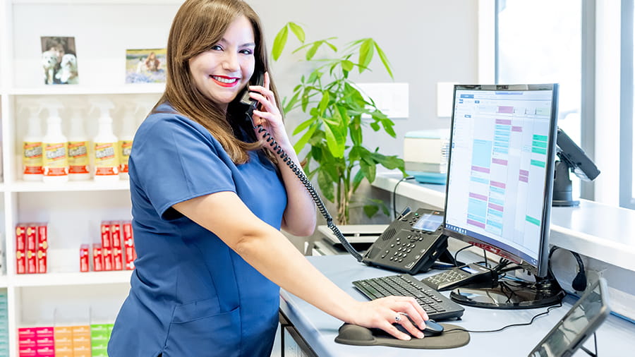 Client Service Representative on the phone at VCA Castle Hills Companion Animal Hospital