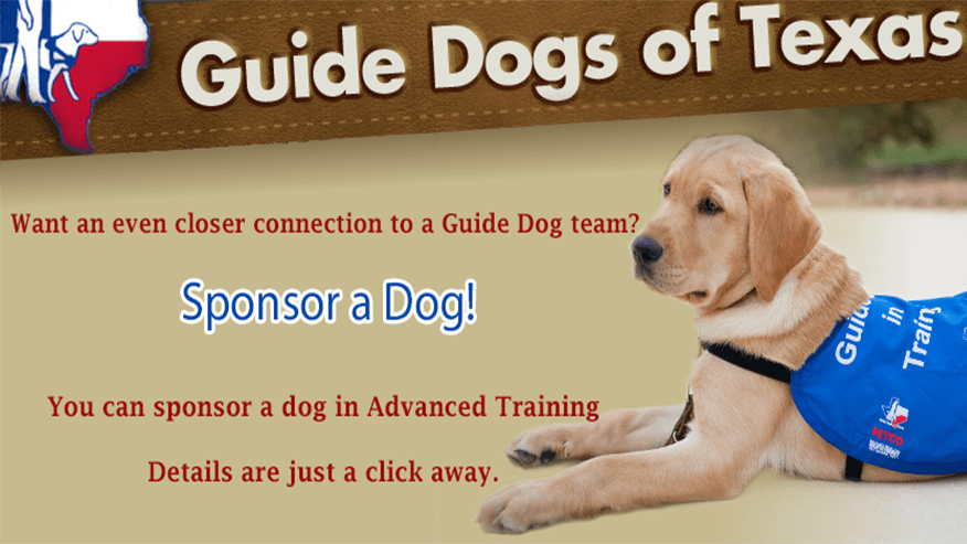 876x493 castle hills GuideDogs