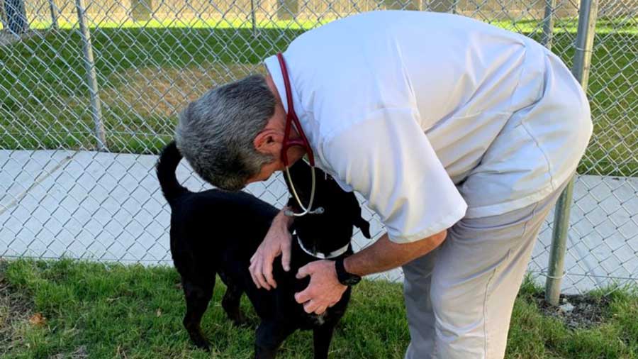 Dr. Tabone with a boarded dog