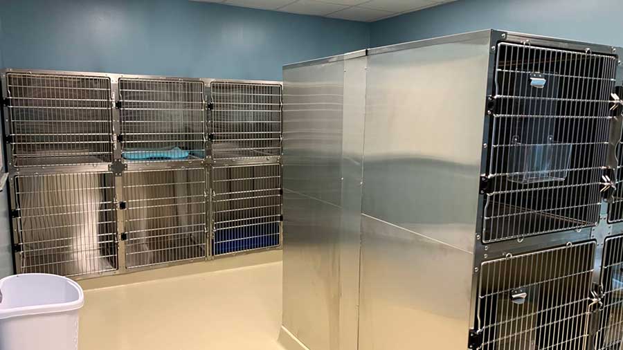 Small kennel runs at VCA DeSoto